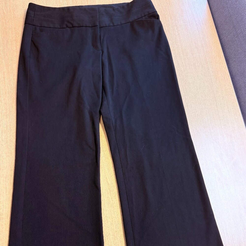 Express Dress Pants